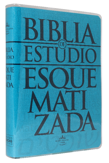 Biblia de estudio esquematizada