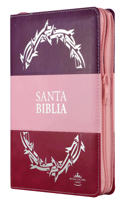 Biblia manual letra grande trió tono RVR60 – Morado y rosa – Cierre – Índice