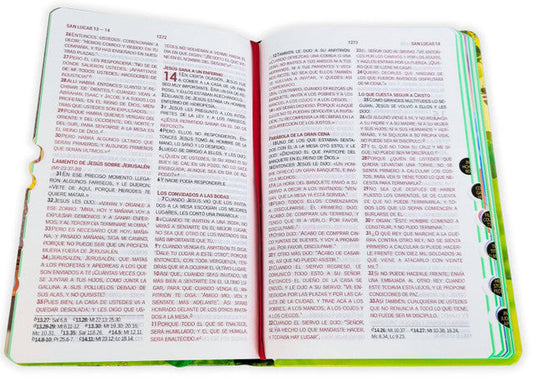 Biblia infantil lo que Dios espera de mí RVC – Tapa dura – Índice