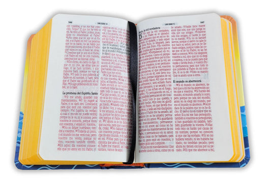 Biblia infantil mini bolsillo RVR60 – Arca de Noé – Tapa dura