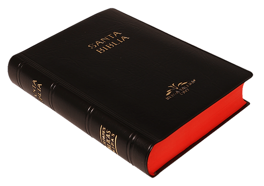 Biblia Bolsillo Vinil Negro / RV1909