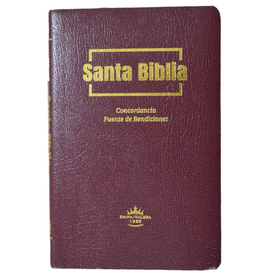 Biblia fuente de bendiciones mediana RV1960 imitación piel vino