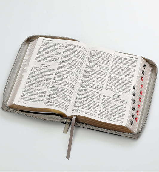 Biblia manual letra grande RVR 1960 con indice y cierre  - Inspiración León