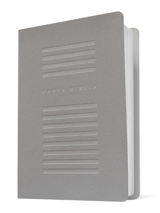 Biblia valor premium NTV, letra grande con Filament (SentiPiel, Gris)