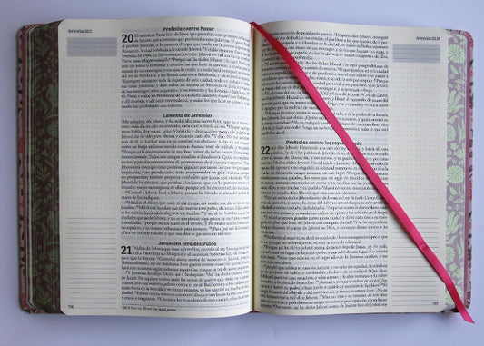 Biblia de apuntes RVR60.  Rosa flores / Tapa dura