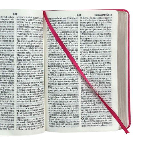 Biblia mediana letra grande rosa RV1960