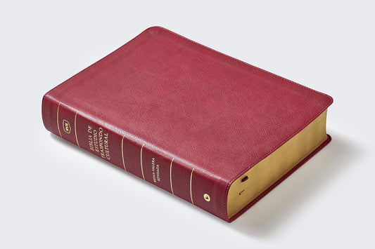 Biblia de Estudio Trasfondo Cultural RVR77 – Vino – Imitación Piel