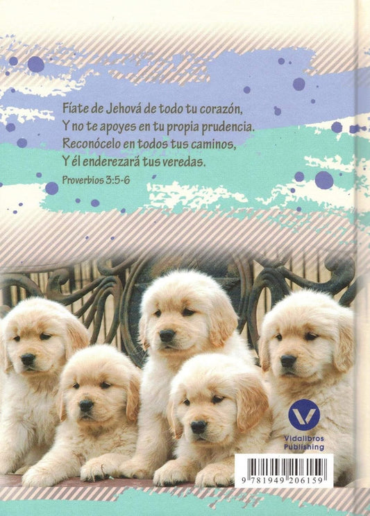 Diario devocional, cada día sin preocupaciones