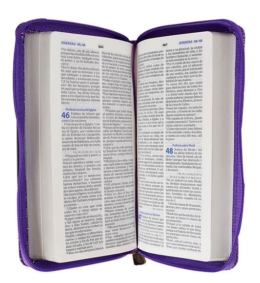 Biblia Cartera / c-Gliter Purpura Ziper / Rv 1960