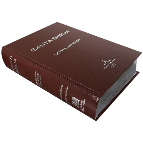 Biblia RVR053CTILGPJR Mediana Letra Grande / Tapa Dura Café / RV1960