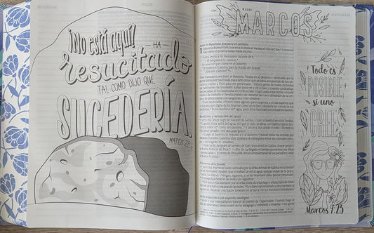 Biblia inspira NTV con Filament – Ramo azul