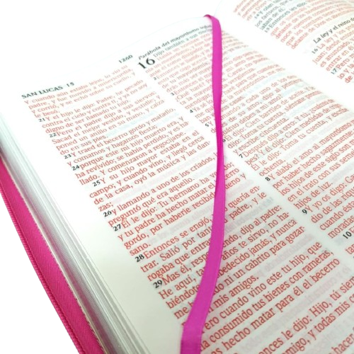 Biblia letra gigante rosa con cierre / RV1960