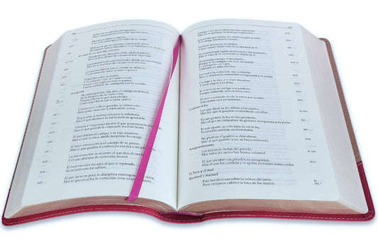 Biblia en orden cronológico RVR60, Imitación Piel – Dúo rosa/pastel