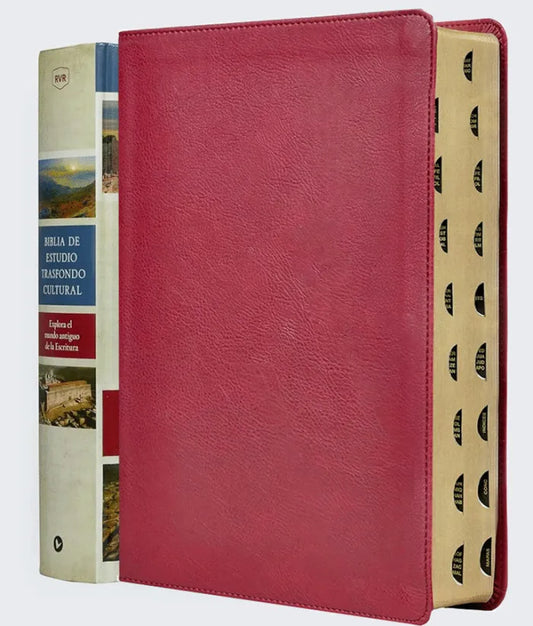 Biblia de Estudio Trasfondo Cultural RVR77: Vino / Imitación Piel / Índice