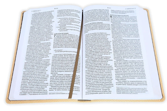 Biblia valor premium NTV, letra grande con Filament (SentiPiel, Café claro)