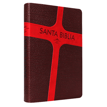 Biblia Letra Grande / RV1960
