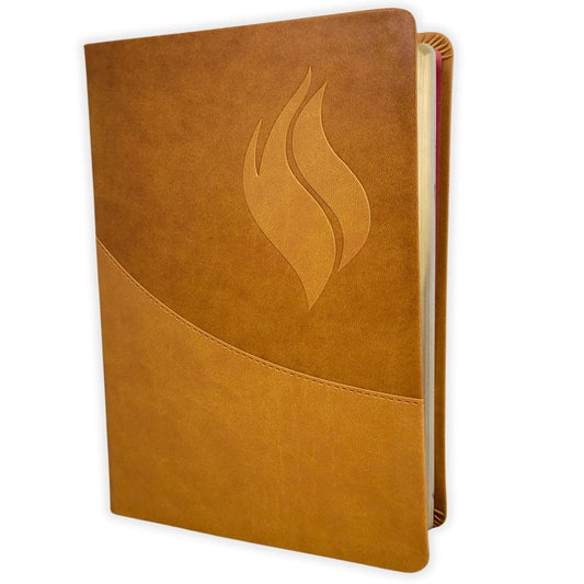 Biblia de Estudio RVR1960 Vida Plena / Imitación Piel - Marrón