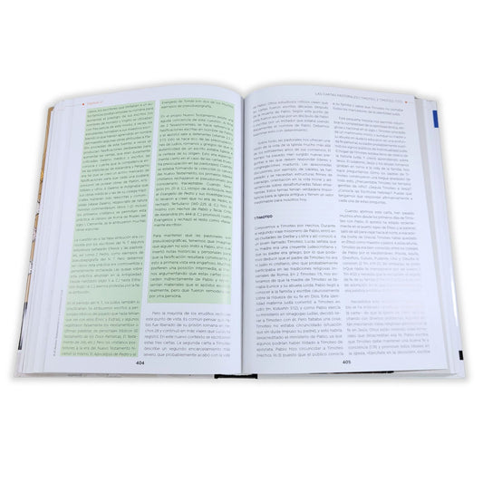 CLIE El Nuevo Testamento en la Antigüedad: Un estudio del Nuevo Testamento en su contexto cultural
