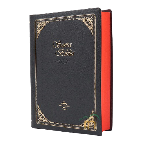 Biblia chica letra chica RVR60 – Imperial negra