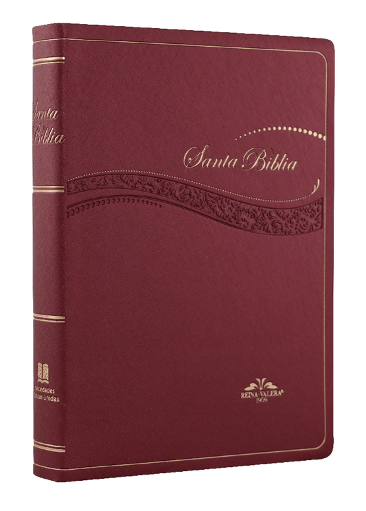 Biblia Mediana Vinil Vino / RV1909