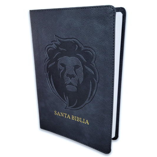 Biblia RVR 1960 letra grande tamaño manual Edicion especial - Ceniza / Simil piel