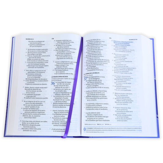 Biblia del pescador RVR60 / Mujer virtuosa multicolor /Tapa dura / Índice