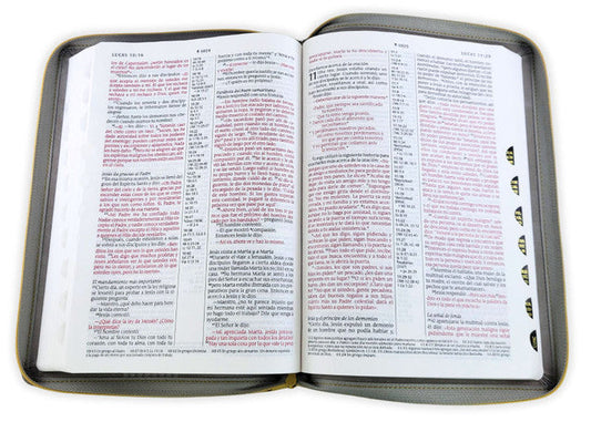 Biblia de referencia en la columna central NTV, letra grande de zíper con Filament (Índice, Letra Roja)