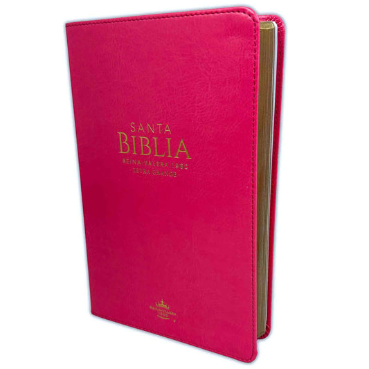 Biblia letra grande fiucsa RV1960