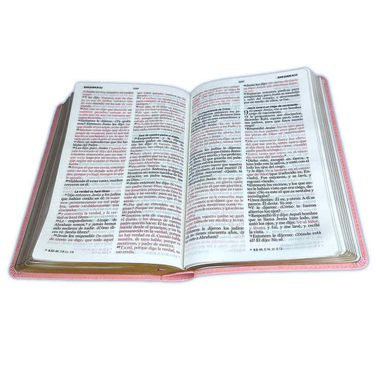 Biblia letra grande rosa RV1960