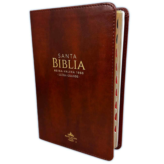 Biblia letra grande café con índice RV1960