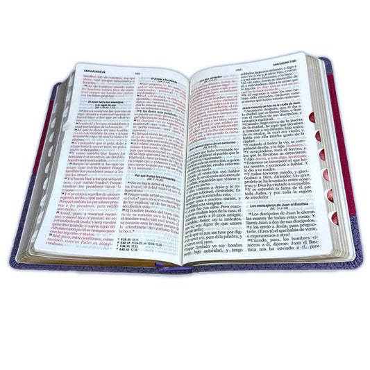 Biblia Letra Grande 12 puntos para Mujer RV1960 imit duotono lila floral y fucsia con índice