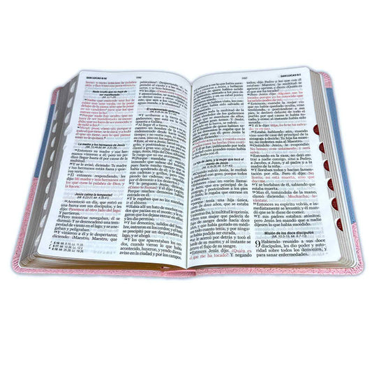 Biblia Letra Grande 12 puntos para Mujer RV1960 imit duotono rosa floral y celeste con índice