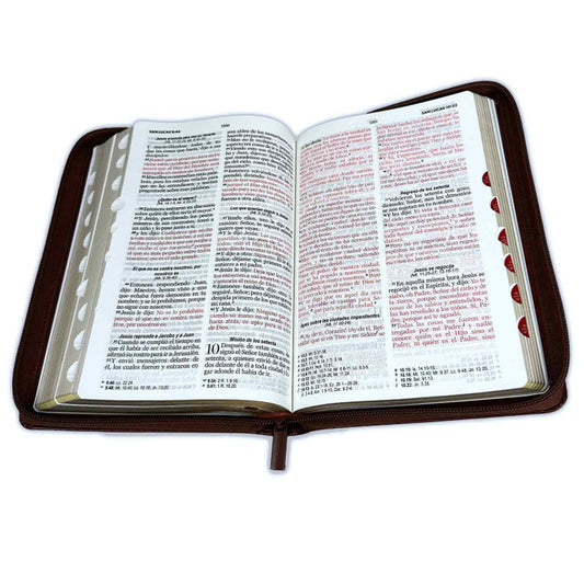 Biblia con Cierre Letra Grande 12 puntos RV1960 café con índice