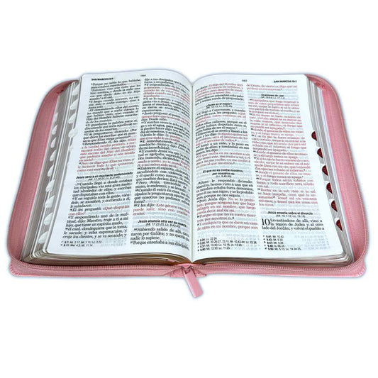 Biblia con Cierre Letra Grande 12 puntos para Mujer RV1960 imit piel rosado y celeste con índice