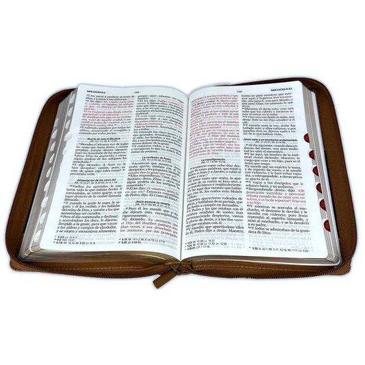 Biblia con Cierre Letra Grande 12 puntos RV1960 imi piel café con índice