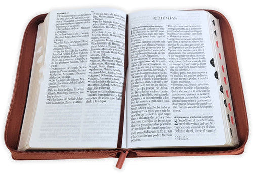 Biblia con Cierre Letra Gigante Manual 14 puntos RV1960 imit piel café con índice
