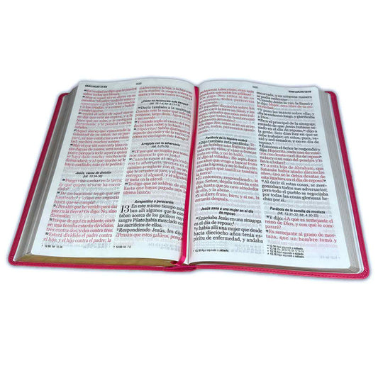 Biblia Letra Súper Gigante 19 puntos RV1960 imit piel fucsia