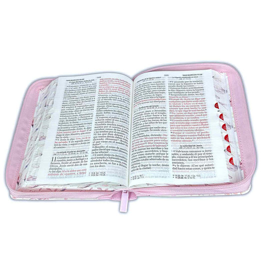 Biblia con Cierre Compacta 11 puntos RV1960 imit piel con canto pintado rosado y mariposas con índice