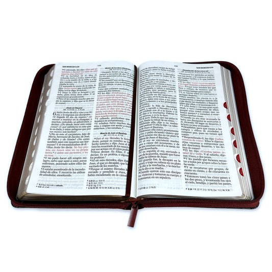 Biblia letra grande 12 puntos con indice