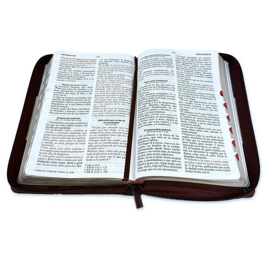 Biblia con Cierre Letra Grande 12 puntos RV1960 imit. azul/gris/marrón con índice