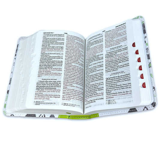 Biblia de Bolsillo tela impresa con índice - palabras de vida - verde  RV1960