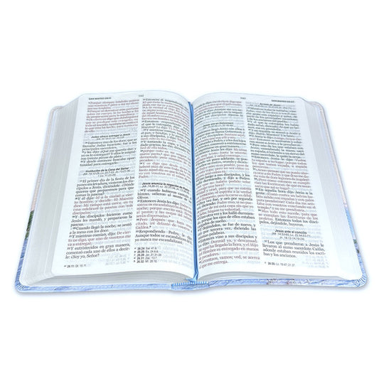 Biblia Faro Letra Grande 12 puntos para Mujer RV1960 imit. piel