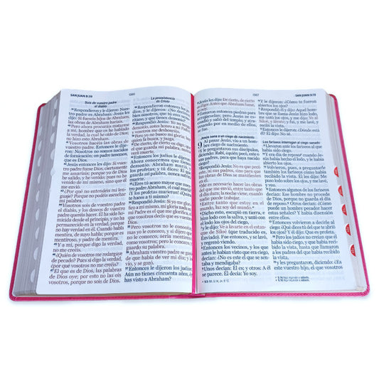 Biblia Letra Súper Gigante 19 puntos RV1960 imit piel fucsia con índice