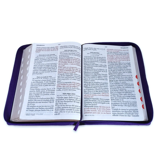 Biblia con Cierre Letra Súper Gigante 19 puntos RV1960 imit lila y negro con índice