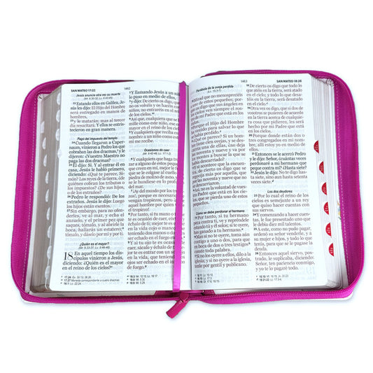 Biblia con Cierre Letra Gigante Manual 14 puntos RV1960 imit piel floral mariposas fucsia y blanco floral con índice