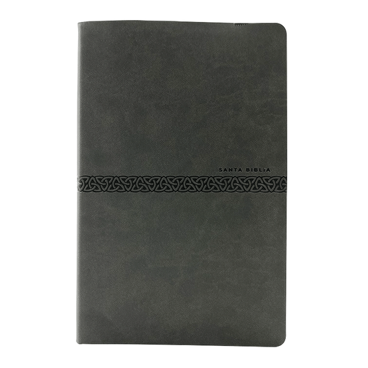 Biblia letra grande económica RVR60 – Gris – Imitación Piel