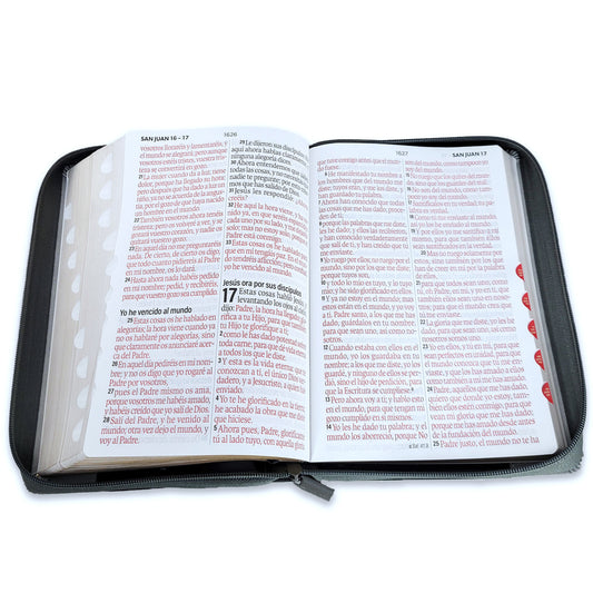 Biblia manual letra super gigante RVR 1960 con indice y cierre - Inspiración León