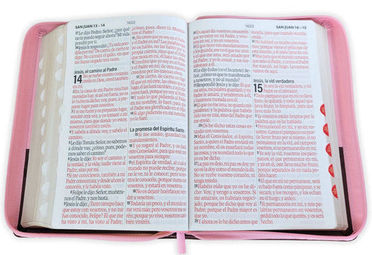 Biblia con Cierre Letra Súper Gigante 19 puntos RV1960, imit piel duotono rosa y café mariposas con índice/ Mundo Biblia