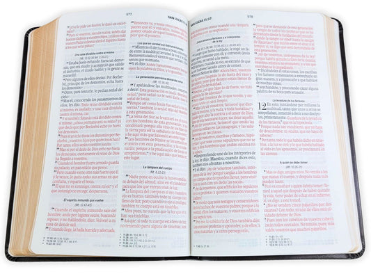 Biblia de Letra Grande Manual 11 puntos RV1960, imit piel: obsequios y premios moka águila