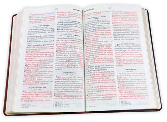 Biblia de Letra Grande Manual 11 puntos RV1960, imit piel café/ Mundo Biblia